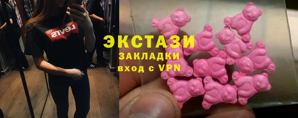 гидра Богданович